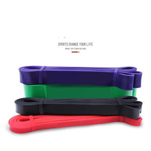 Pull Up Assist Bands Pull Up Straps Resistance Bands with Door Anchor and Handles Fitness Bands Workout Fitness Expander Pull-up Training