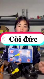 Còi đức sên 12v 24v