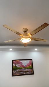Quạt trần 5 cánh DCT218 sải cánh 1m32 động cơ DC tiết kiệm điệnđiều khiển từ xa 6 tốc độ có đảo chiều