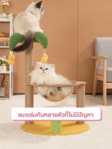 รูปแบบใหม่ กรอบปีนแมว คอนโดแมว เสาลับเล็บแมวได้ แคปซูลอวกาศ มัลติฟังก์ชั่น ของเล่นแมว ทนต่อการขีดข่วน