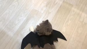 1/3pcs Adjustable Black Cat Bat Wings Costume Halloween Pet Accessory for Cats & Small Dogs Festive Dress-Up Fun Cosplay Access