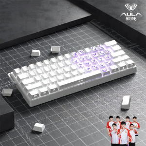 AULA | E-sports Customized Wired Mechanical Keyboard with Magnetic Switch 60 Keys