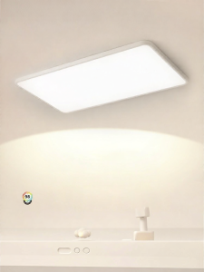 JINGYA | Eye-Protective Ultra-Thin Seamless Modern Simple Ceiling Light for Living Room and Bedroom