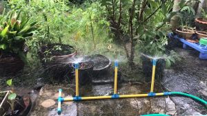 (20 ตัว) หัวพลาสติกสปริงเกอร์ใบบัว สปริงเกอร์ใบบัว หัวใบบัวจุกพลาสติก เพียงต่อกับท่อPVC ขนาด 1/2 นิ้ว พร้อมใช้งานทันที