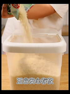 10kg Insect-proof Moisture-proof Food Storage Box Rice Dispenser and Storage Sealed Rice Cereal Storage Container