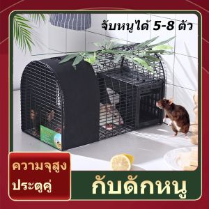 ราคาโรงงาน เรียบง่าย กับดักหนู ใช้ได้จริง จัดส่งรวดเร็ว ประสิทธิภาพสูงในก หนูไม่สามารถหนี แข็งแรง ทนทาน กรงดักหนู