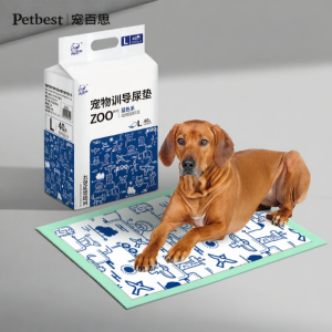 PETBEST | Đệm Thấm Dầu In Hình Dày