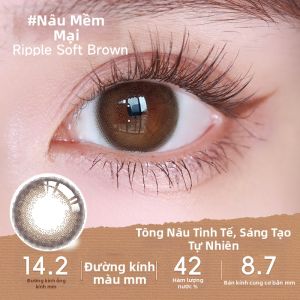 Seed | Mắt Kính áp Tròng Màu Dưỡng Ẩm thoải Mái 20 Cái