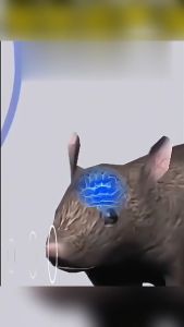 No rats within 1000 meters🐭Rat repellent ultrasonic pest repeller Pest reject ultrasonic Quiet safe harmless to pregnant woman and baby Effective pest control for rats bats snakes Penghalau serangga ultrasonik Mouse Repeller老鼠驱赶器 驱老鼠神器