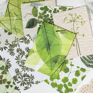 กระดาษดอกไม้สด Spring Story DIY Scrapbooking พืช ดอกไม้ พื้นผิวตกแต่ง กระดาษสำหรับงานฝีมือจากจีนแผ่นดินใหญ่