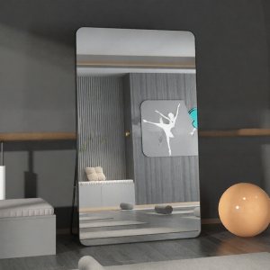Dance Specific Mirror moveable wall-mount