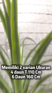 Tanaman Hias Pohon Dekorasi Taman Premium Artificial Jumbo CZ-35