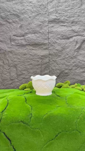 Bộ 02 hoặc 04 chậu quả dứa 21x13x13cm trồng hoa màu trắng nhựa dày đẹp size trung