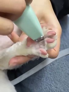 coolpet 🐶 ปัตตาเลี่ยนตัดขนเท้า ซอกเท้า สำหรับสัตว์เลี้ยง แมว/สุนัข หัวตัดขนาดเล็ก ตัดขน เครื่องโกนขน