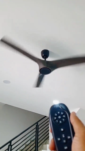 REGAIR Wako DC Motor Ceiling Fan with Light 56" 3Blade 16Speed 8000CFM Remote Control 12 years warranty