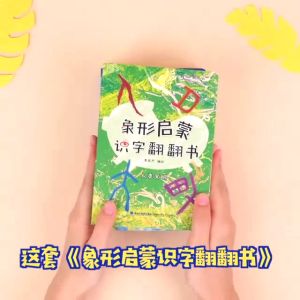 【正版速发】 board book全4册 象形启蒙识字翻翻书 幼儿园认字大全看图识字神器学前识字书