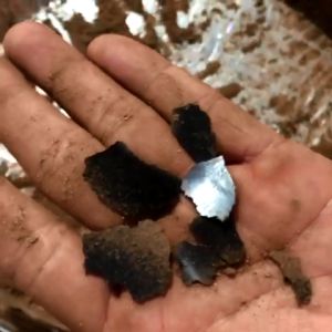 Nhang Nụ Trầm Hương Phổ Thông -Xông Lư Thác Khói Ngược-10 Năm Trầm Tích-Hộp 50Gram - 100Gram- Trầm Hương Khánh Hòa