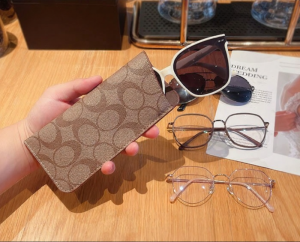 Universal Portable Anti-pressure Fashion Eyeglasses Case Sunscreen Glasses Protective Cover Womens Eyewear Clip Storage Bag