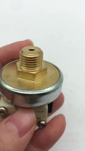 หม้อไอน้ำสำหรับรีดผ้า เครื่องจักรไอน้ำ อุปกรณ์เสริมสำหรับเครื่องพ่นไอน้ำ ตัวควบคุมแรงดันไอน้ำ G1/4 สวิตช์แรงดันไอน้ำ 4Bar