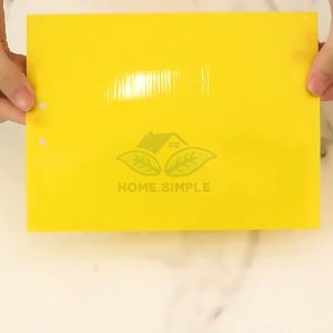 Miếng Dán Bẫy Côn Trùng20 món / bộ 2 mặt hiệu quả 15x20cm 20x25cm25x30cmhai mặt siêu thu hút siêu dính