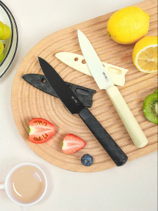 Zhang Xiaoquan | Antibacterial Stainless Steel Fruit Peeling Knife