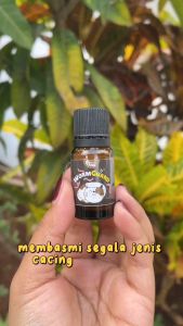 WORM-GUARD 5gr by Golden Paw Obat Cacing dan Parasit untuk Kucing Kitten Ampuh Anti Infeksi Cacing Kucing Cat Kitten Worm Drontal Catyzole Albenworm O-Cing Holycat Labs Royal Care