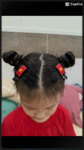 Set 02 Kẹp Tóc Lá Cờ Tổ Quốc Kẹp Tóc Cờ Đỏ Sao Vàng Mừng Các Ngày Lễ Của Việt Nam KT10