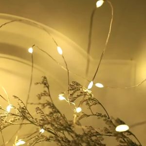1-10M LED String Lights DIY Copper Wire Fairy Light Valentines Day Wedding Party Christmas Birthday Gift Shine Decoration Lamp