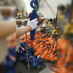 New High-Quality 0.75t 1.5m Lever Chain Block with G80 Grade Galvanized Chain and Forged Manganese Steel Hook for Motorcycle Maintenance