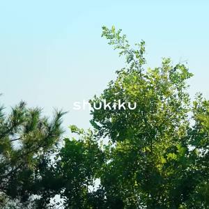 shukiku | New Lightweight Childrens Backpack