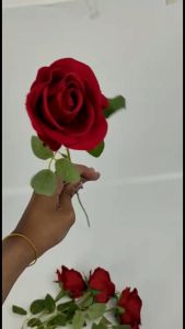 Rose Single Kain - Bunga Mawar Satuan 1 Tangkai Panjang 50 CM Kain Artificial untuk Hiasan Buket Kamar Cafe Rumah Ruang Tamu dan Dekorasi Wedding Pernikahan Pelaminan Murah Import Artifisial Berkualitas