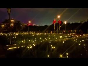 Solar LED Light Outdoor Waterproof Garden Sunlight Powered Landscape Lights Firefly Garden Lights Lawn Garden Decor Solar Light