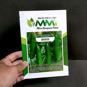 BENIH TIMUN – BAGOS – 20 GRAM