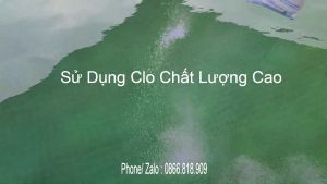 Combo 2 Kg Chlor Ấn Độ - Chlorine 70% Xử Lý Nước Hồ Bơi