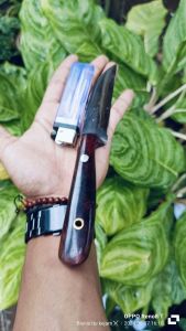 pisau kecil minimalis PB 9cm enak buat iris usus ayam+bikin serut sate dan super minimalis buat sayuran enak didapur