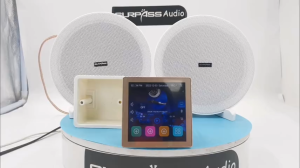 Surpass audio smart home sound system sound amplifier and wall speaker android 10.0 system voice control resolution 480*800 ips hd memory 2+16g