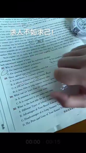 Destiny Turntable Keychain Mini Fortune Spinner Backpack Pendant Gift for Stress Relief Rotating Toy