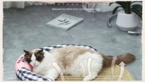 Cozy Plush Cat/Dog Bed Mat - Breathable Washable Pet Bed with Plush Pillow for All Seasons