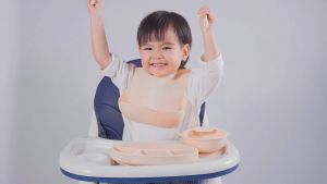 Bộ Khay Chén Bát Thìa Dĩa Yếm Ăn Dặm Silicon Chống Đổ An Toàn Cho Bé ANBE VIỆT NAM Có Kiểm Định Chất Lượng AB1