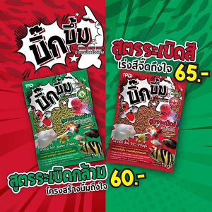 ผลไร้หยุ่น บิ๊กบึ้ม อาหารปลาสวยงาม ปลากินดี โตไว สมส่วน ไม่ทิ้งคราบมันบนผิวน้ำ น้ำไม่ขุ่น 1 กิโลกรัม