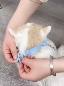 Đồ chơi đuổi bắt lông vũ cho Mèo gắn vòng cổ silicon mềm mại (mẫu mới) - Love Pets Shop