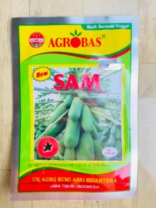 Benih Unggul Pepaya California SAM Agrobas F