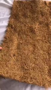 Lembaran sabut kelapa cocosheet / cocosheet media tanam microgreen