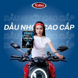 Nhớt Tribo 10W-40 Fully 800ml (tổng hợp hoàn toàn)