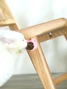 Catnip Bola Kucing Mainan Hewan Anjing Crab Avocado Catnip Ball Tempel Dinding Anti Stress