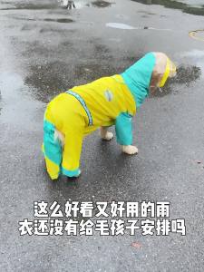 hipidog | Waterproof Full Body Coverage Pet Raincoat