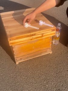 Máng mỏ vịt cho ong uống nước (10 cái)