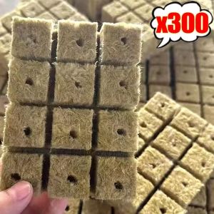 500/100ชิ้น วัสดุปลูกขนแกะหิน / ต้นกล้า / ก้อนปลูก / กิ่งพันธุ์พืชไฮโดรโปนิกส์ / บล็อกเพาะกล้าไม้สำหรับสวน
