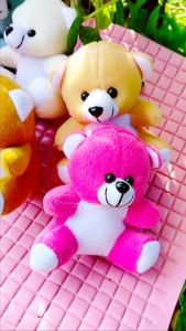 dhio-Boneka bear mini12cm buket hamper hadiah wisuda valentine