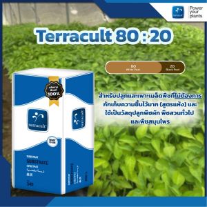 พีทมอส Terracult สูตร 80:20 ขนาด 250 ลิตร สำหรับเพาะเมล็ดทุกชนิด และใช้เป็นวัสดุปลูกพืชผัก พืชสวนทั่วไป และ พืชสมุนไพร